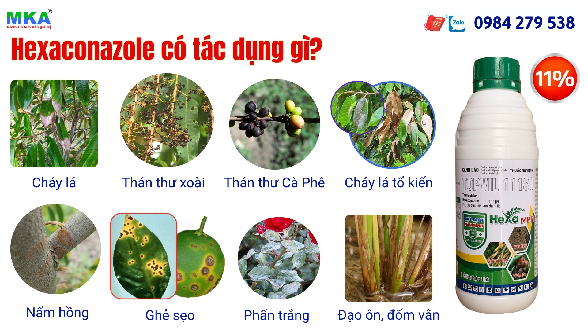 Hoạt chất hexaconazole đặc trị nấm bệnh nào?